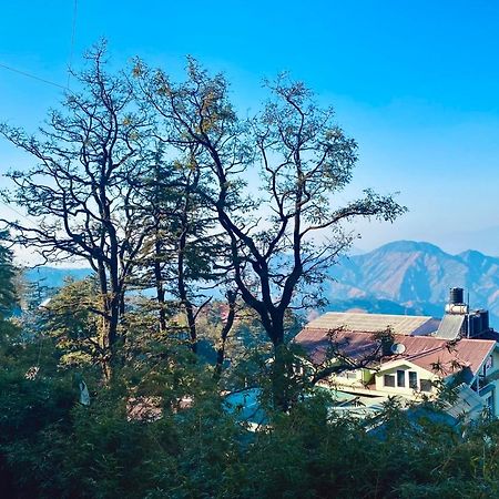 Bed and Breakfast The Travelista Shimla Exterior foto